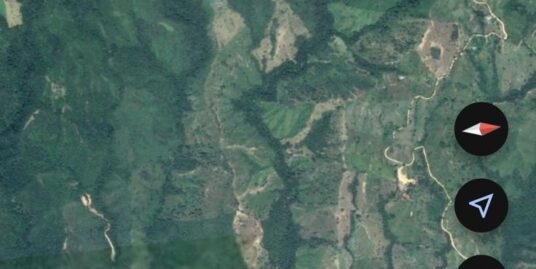 FVOC-0124 SE VENDE FINCA EN LERIDA TOLIMA
