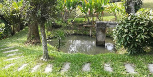 FVOC-0118 Se vende finca en Palestina, Caldas.