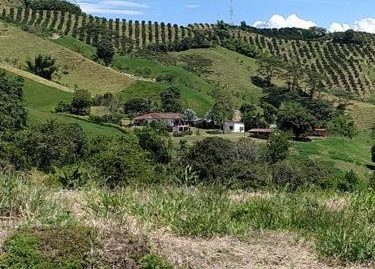 LVOC-0181 Se vende lote en Palestina, en conjunto cerrado campestre.