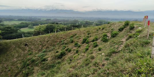 LVOC-0183  Se vende Lote en Zaragoza – Corregimiento de Cartago Valle del Cauca