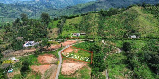 LVOC-0189 SE VENDE LOTE EN LA VEREDA EL HIGUERON PALESTINA CALDAS