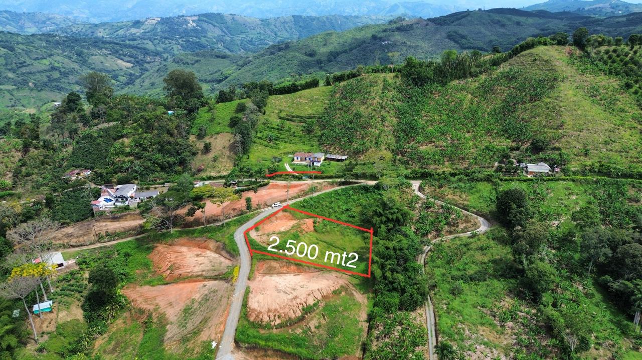 LVOC-0189 SE VENDE LOTE EN LA VEREDA EL HIGUERON PALESTINA CALDAS