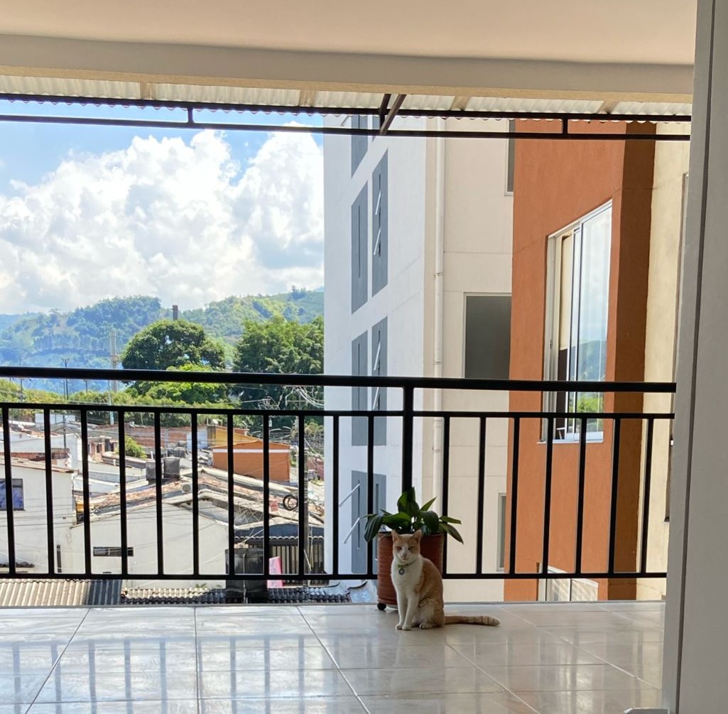 AV-0133 SE VENDE APARTAMENTO EN CHINCHINÁ CALDAS