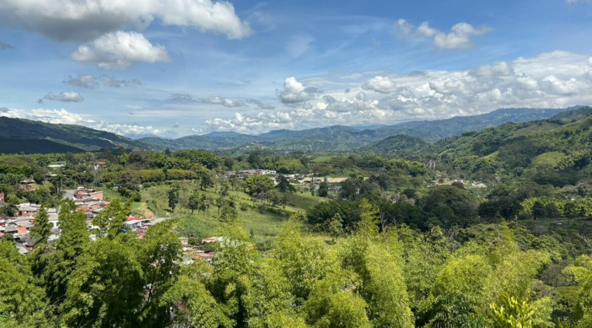 0a2f5281-a569-417e-b830-8ebdbff24a76