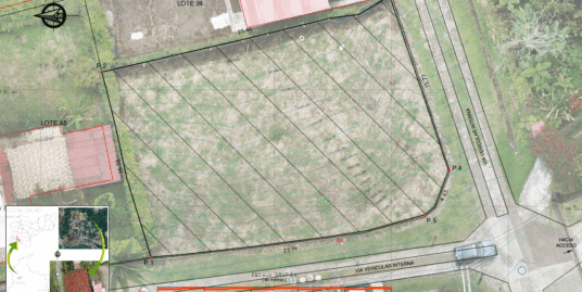 LVOC-0199 SE VENDE LOTE EN PALESTINA CALDAS