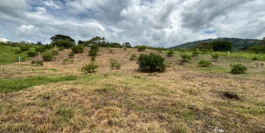 LVOC-0200 SE VENDEN DOS LOTES EN EL KM 41, NEIRA CALDAS