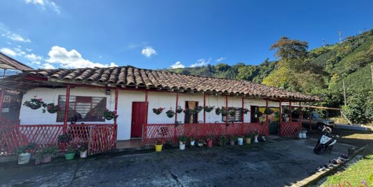 FV-0101 SE VENDE FINCA EN CHINCHINA CALDAS