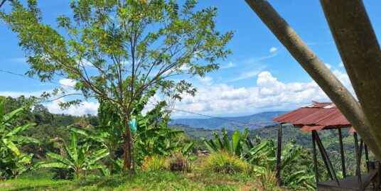 FVOC-0155 SE VENDE FINCA EN BALBOA RISARALDA