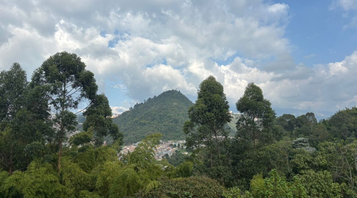 Imagen de WhatsApp 2025-12-10 a las 16.21.02_b0028ea5