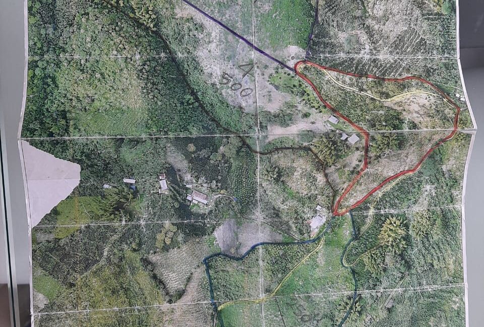 Imagen de WhatsApp 2025-12-11 a las 14.20.47_09c1e20f