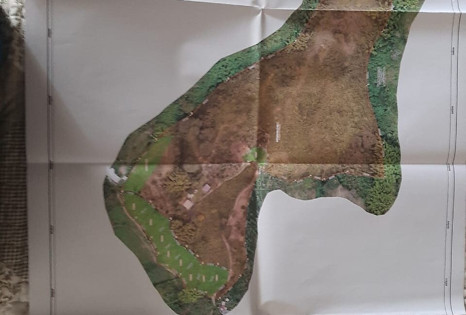 Imagen de WhatsApp 2025-12-11 a las 14.20.47_8ca44a9c