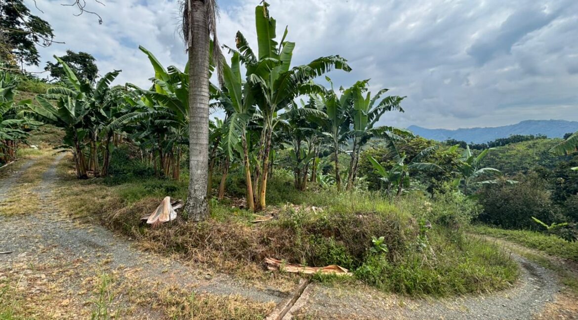 Imagen de WhatsApp 2025-12-11 a las 14.21.10_c7f42e76