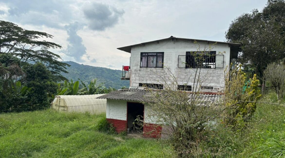 Imagen de WhatsApp 2025-12-11 a las 14.21.11_af71f157