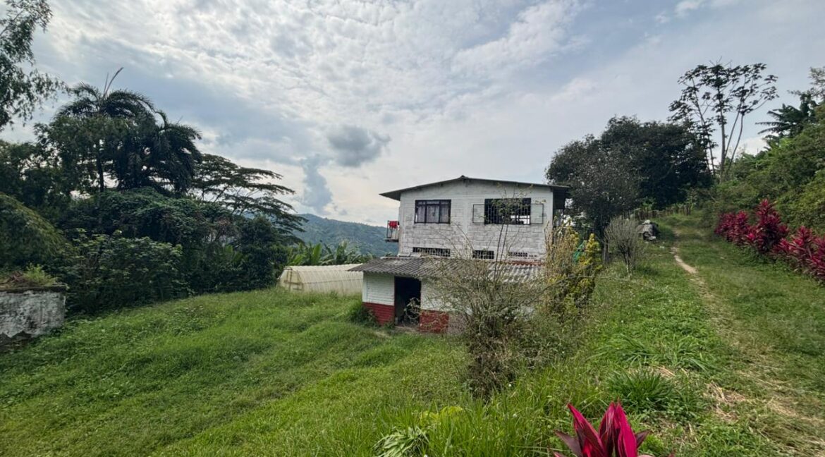 Imagen de WhatsApp 2025-12-11 a las 14.21.11_d11c50ba