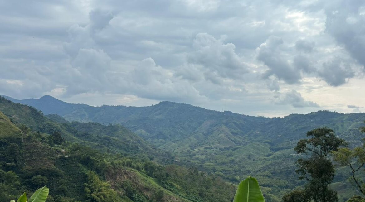 Imagen de WhatsApp 2025-12-11 a las 14.21.13_f3468e8c