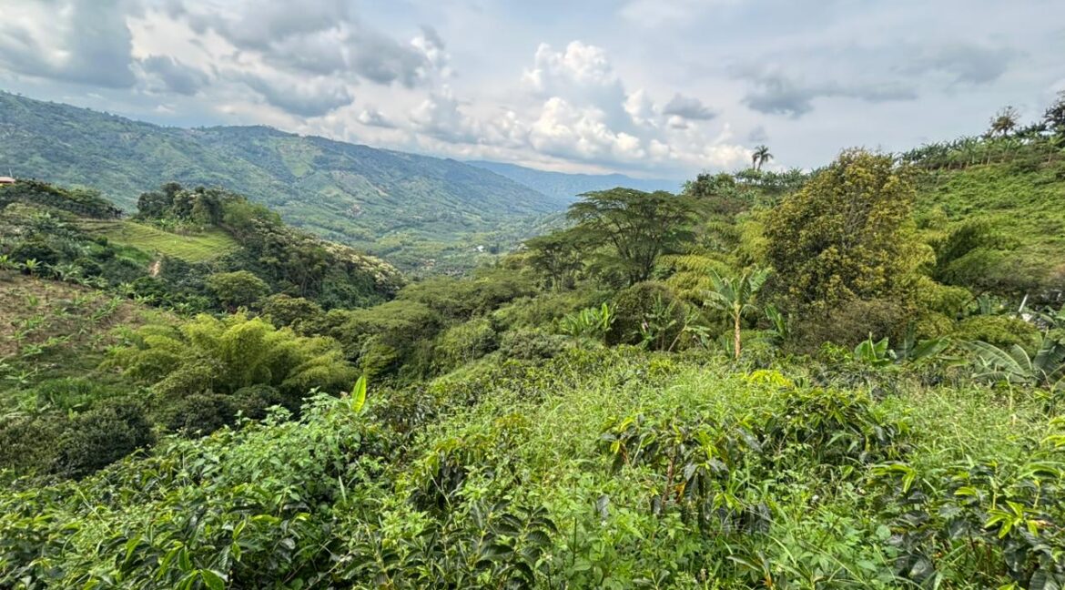 Imagen de WhatsApp 2025-12-11 a las 14.21.16_0428566a