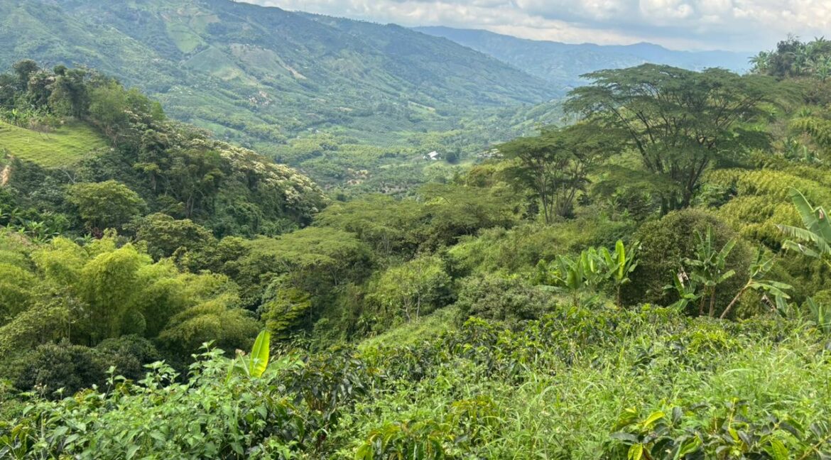 Imagen de WhatsApp 2025-12-11 a las 14.21.17_5d52639c