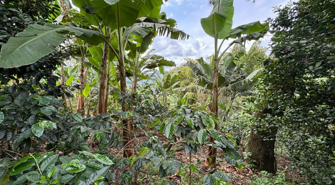 Imagen de WhatsApp 2025-12-11 a las 14.21.18_b4de16de