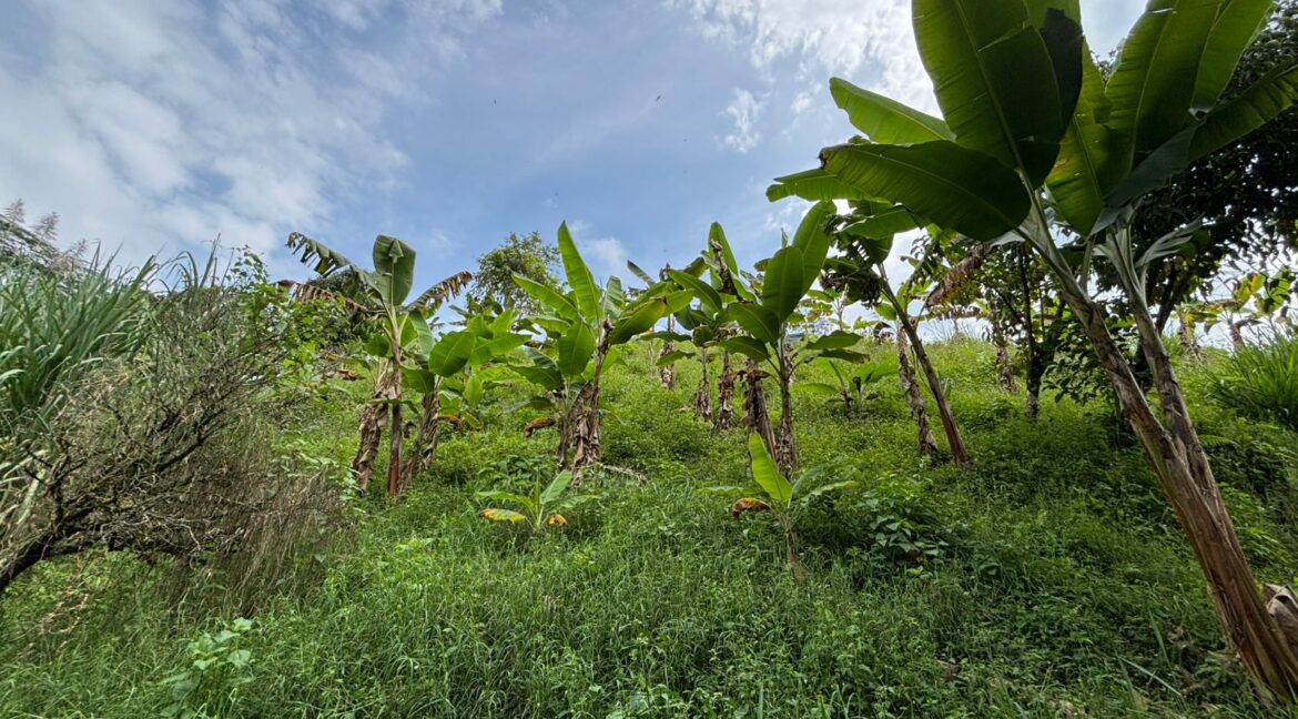 Imagen de WhatsApp 2025-12-11 a las 14.21.18_b72a0357