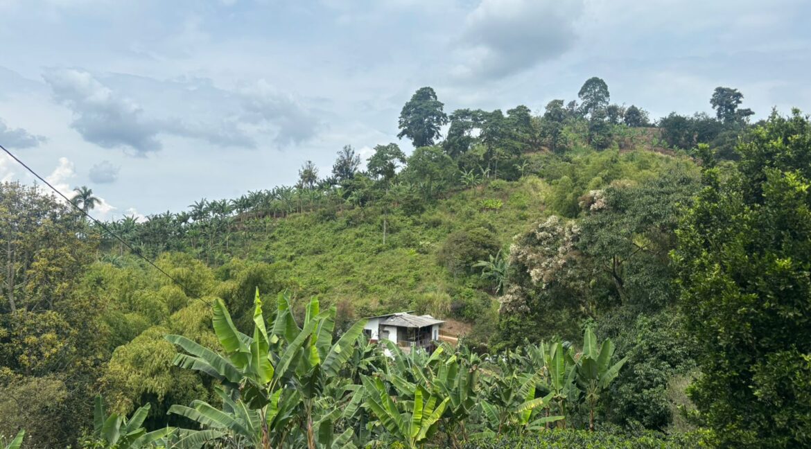 Imagen de WhatsApp 2025-12-11 a las 14.21.18_bae95c31