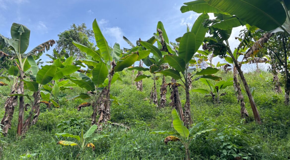 Imagen de WhatsApp 2025-12-11 a las 14.21.18_c97457cb