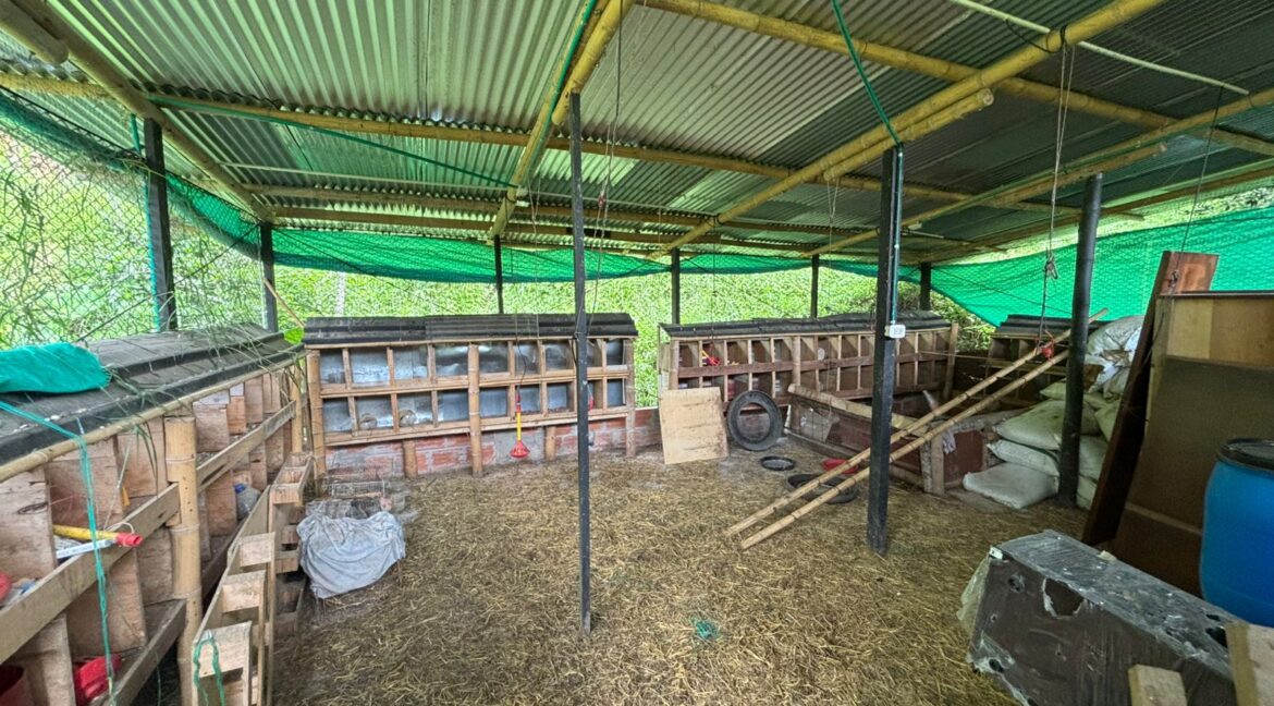 Imagen de WhatsApp 2025-12-11 a las 14.21.19_1dd13f9d