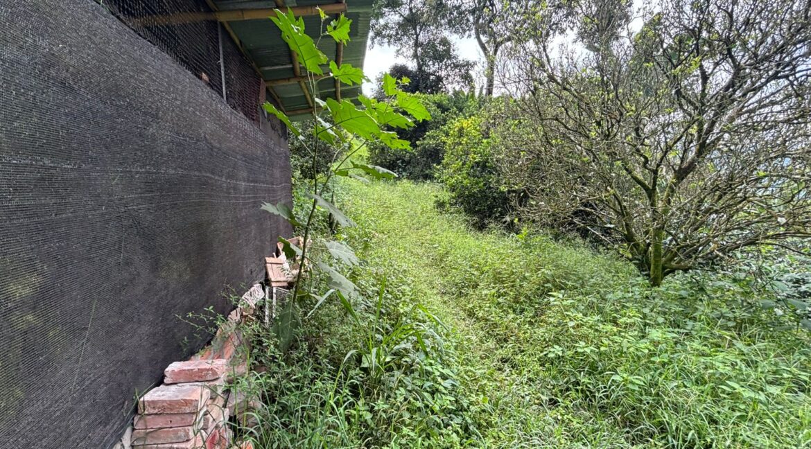 Imagen de WhatsApp 2025-12-11 a las 14.21.19_600a3240