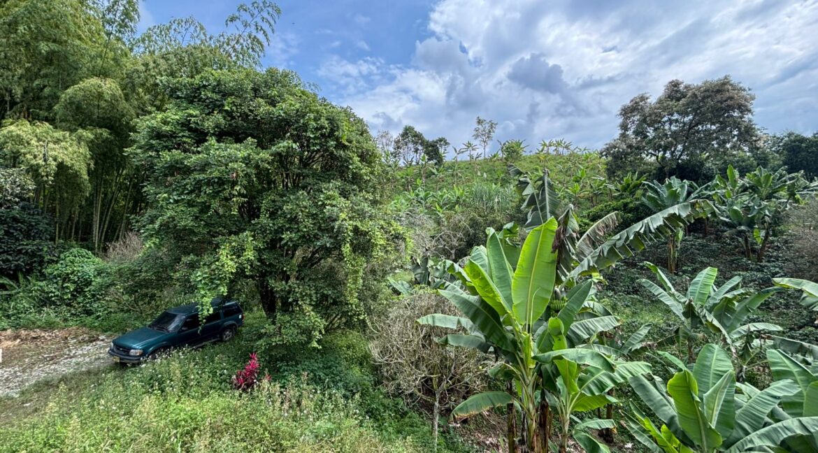 Imagen de WhatsApp 2025-12-11 a las 14.21.19_66eb1594