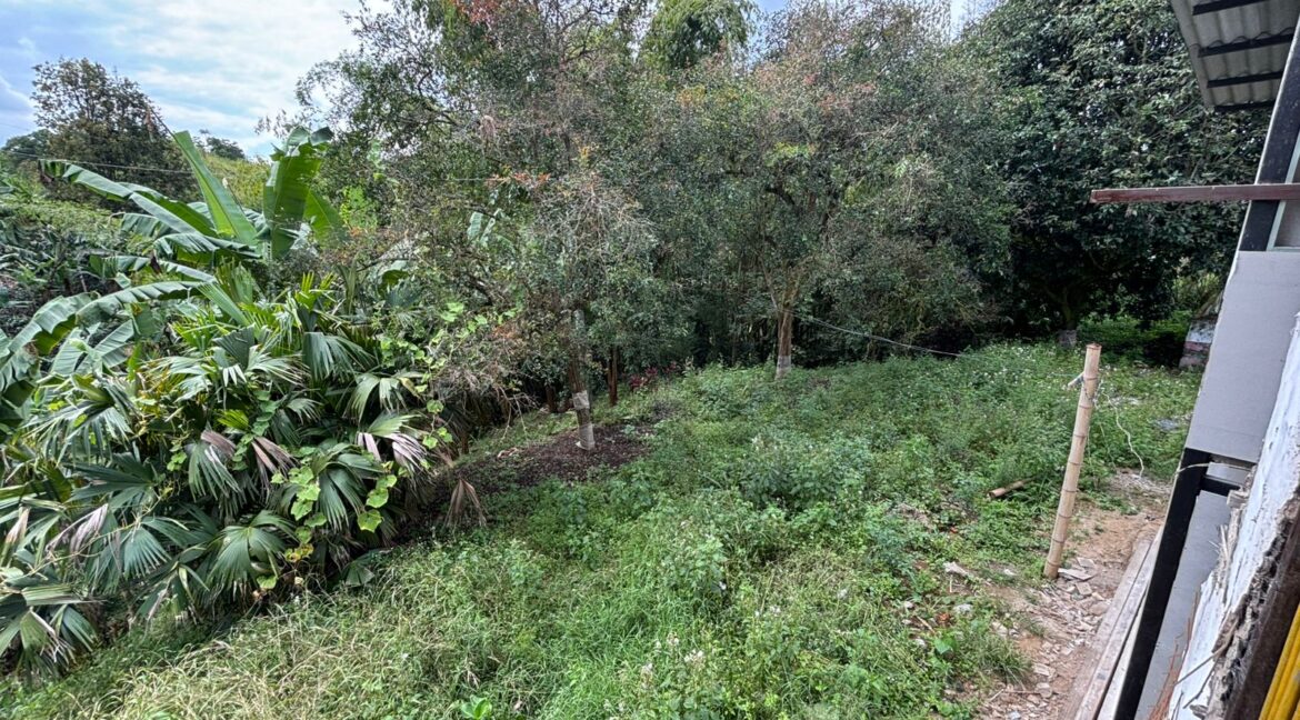 Imagen de WhatsApp 2025-12-11 a las 14.21.19_9cca7b58