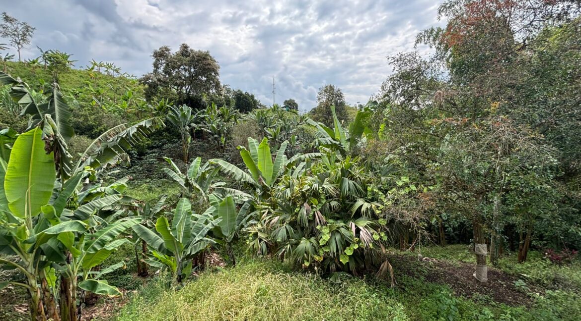 Imagen de WhatsApp 2025-12-11 a las 14.21.19_e2ff9582