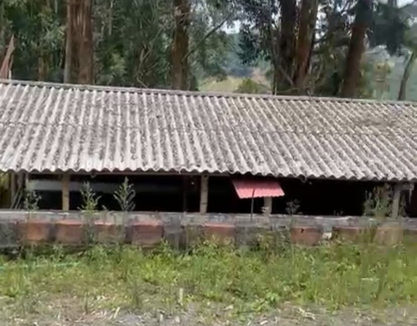 WhatsApp Image 2025-12-22 at 4.05.59 PM