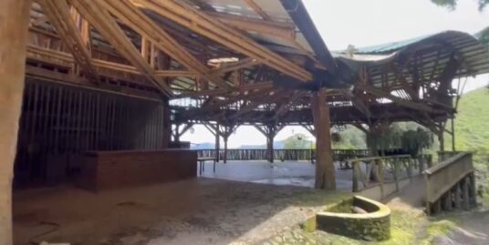 FV-0103  SE VENDE FINCA EN CHINCHINA CALDAS