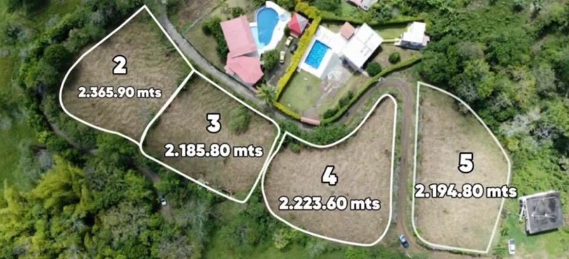 WhatsApp Image 2026-01-16 at 3.01.18 PM