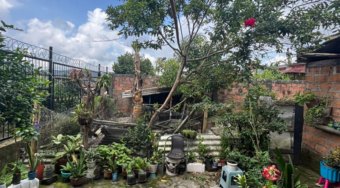 WhatsApp Image 2026-01-20 at 11.13.03 AM