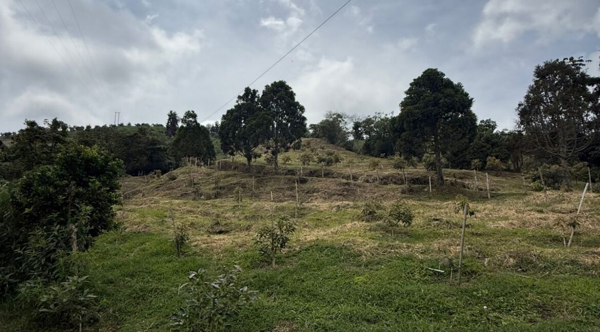 WhatsApp Image 2026-02-24 at 10.10.47 AM (1)