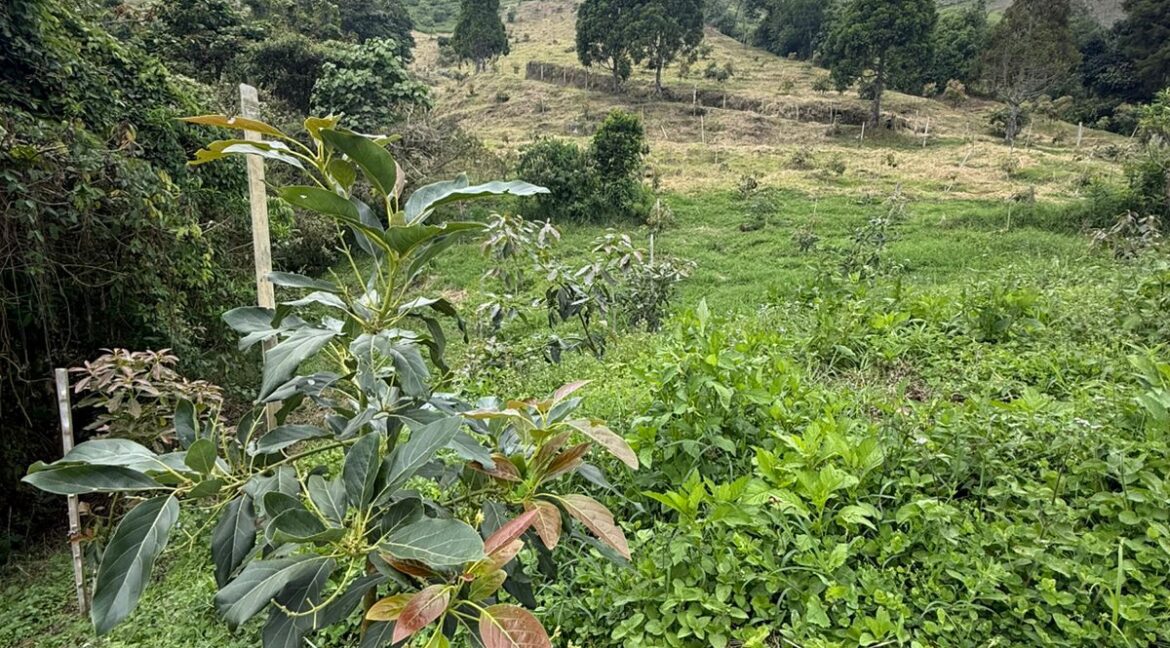 WhatsApp Image 2026-02-24 at 10.10.47 AM