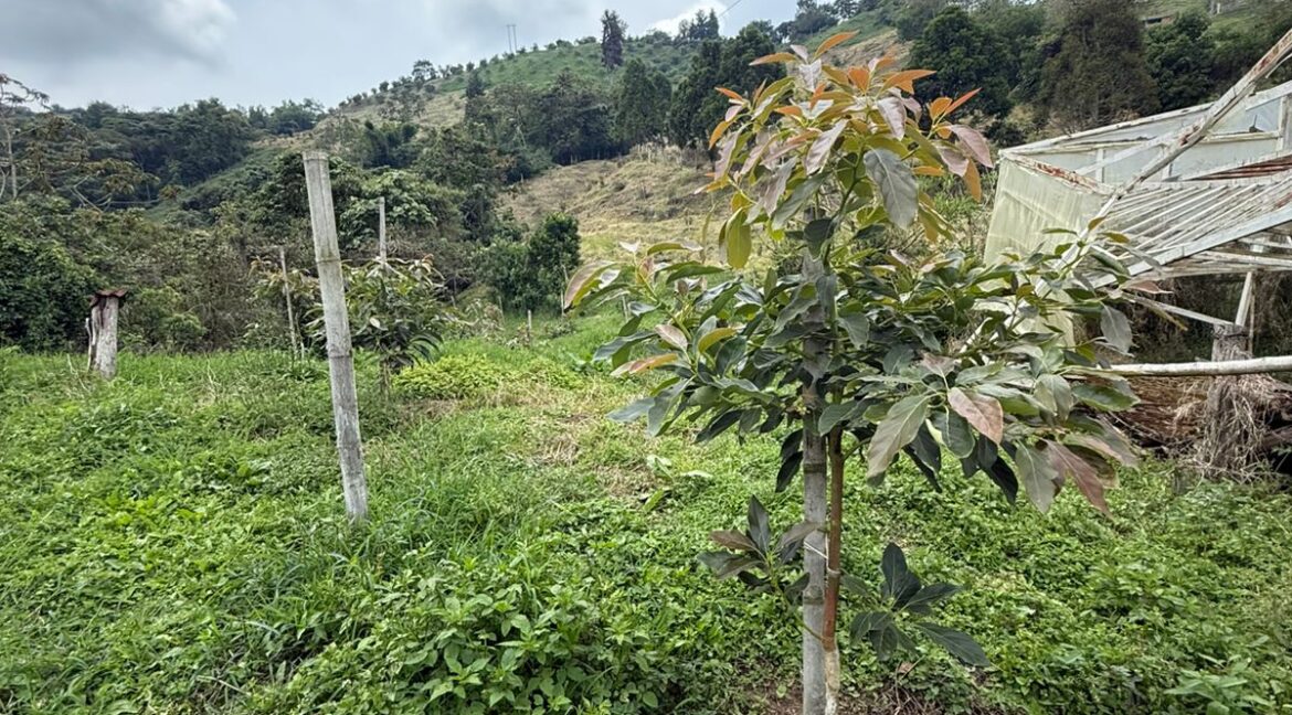 WhatsApp Image 2026-02-24 at 10.10.48 AM (1)