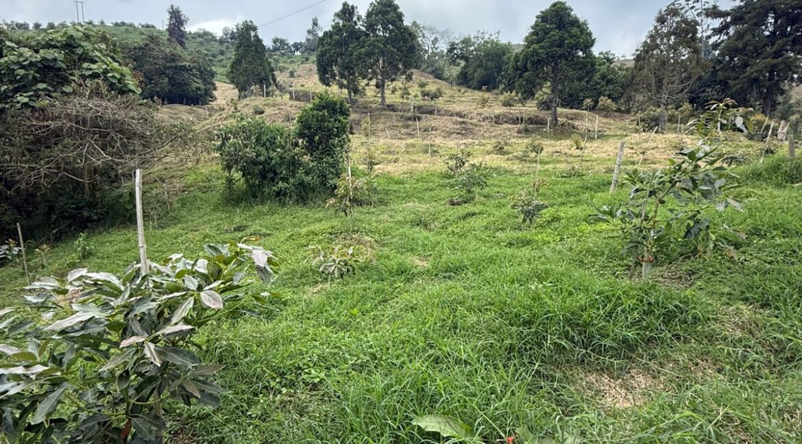 WhatsApp Image 2026-02-24 at 10.10.48 AM