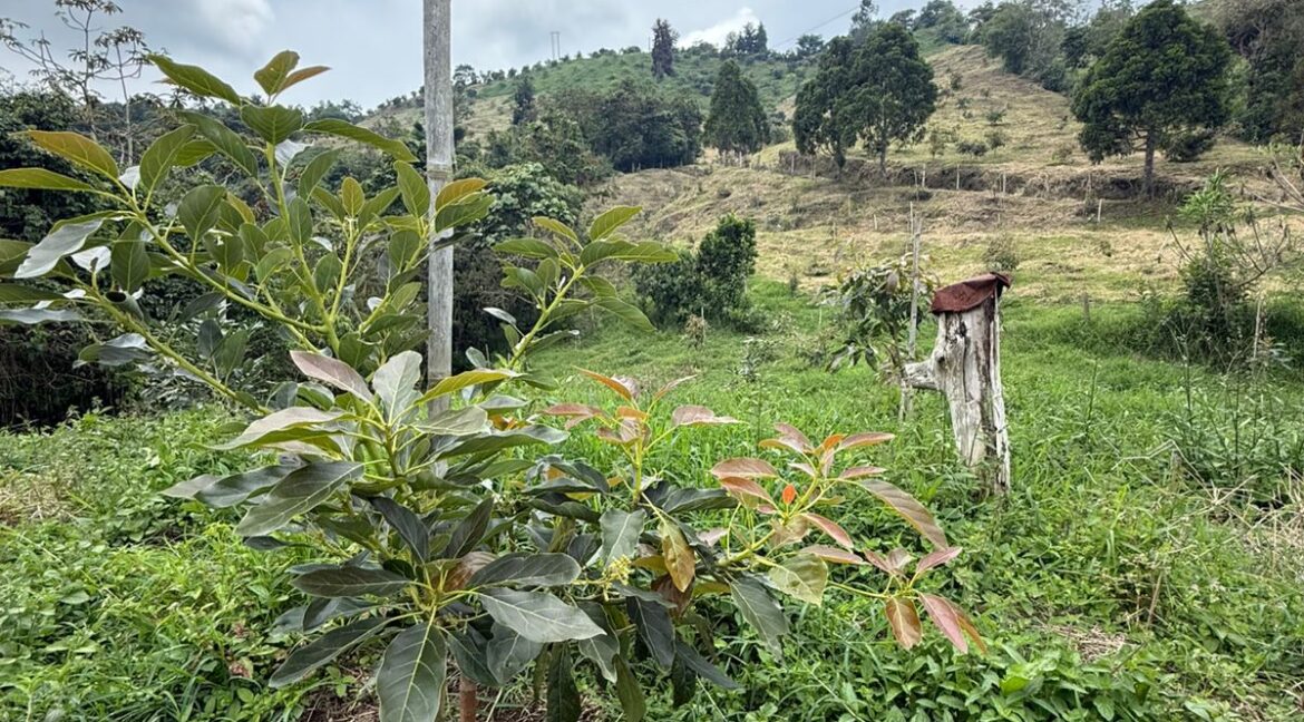 WhatsApp Image 2026-02-24 at 10.10.48 AM (2)