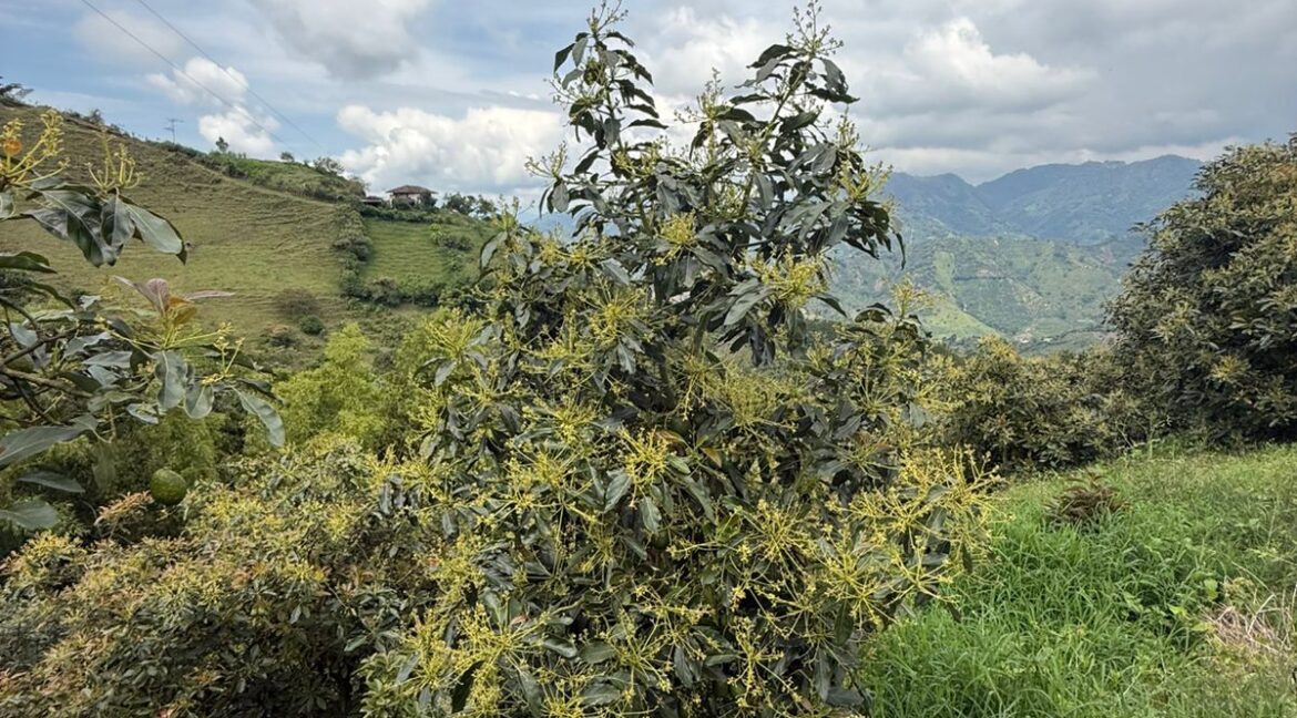 WhatsApp Image 2026-02-24 at 10.10.48 AM (3)