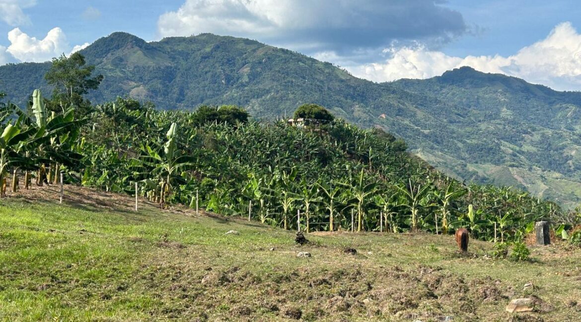 WhatsApp Image 2026-02-28 at 10.17.43 AM (1)