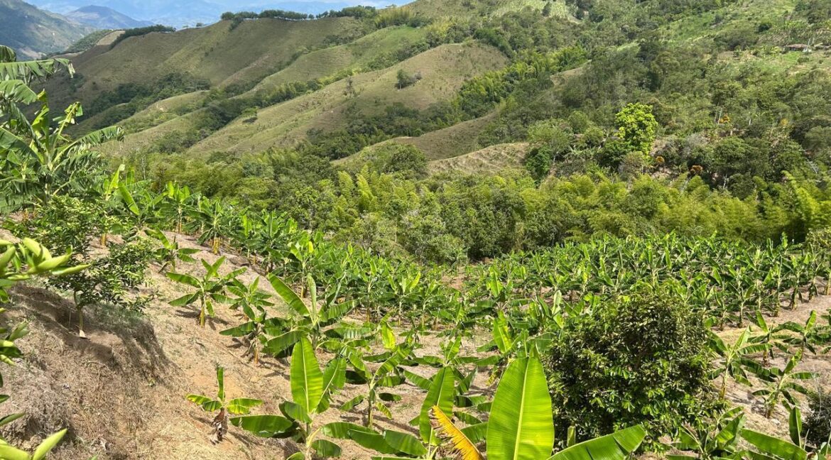 WhatsApp Image 2026-02-28 at 10.17.43 AM (2)