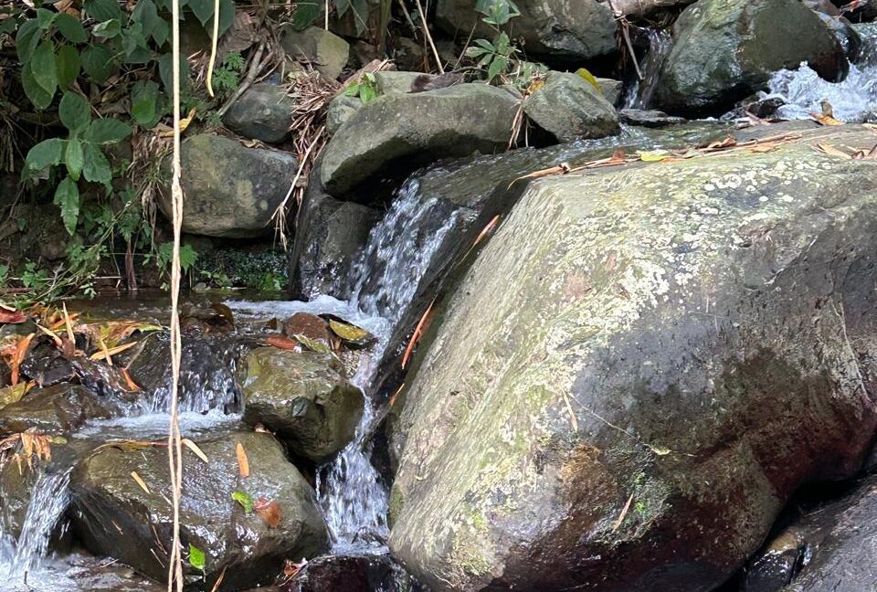 WhatsApp Image 2026-02-28 at 10.17.43 AM (3)