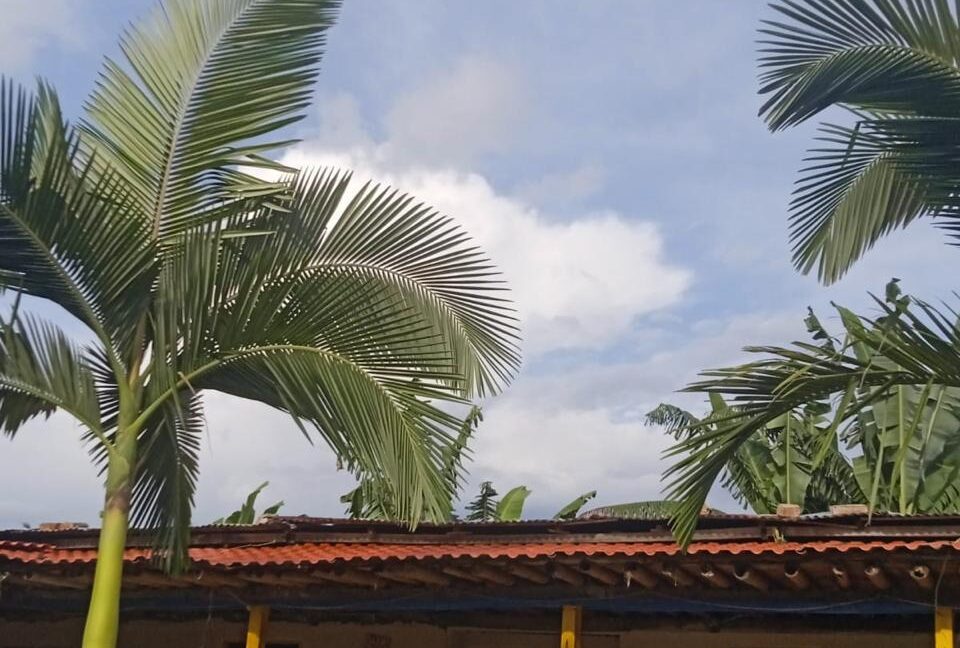 WhatsApp Image 2026-02-28 at 10.17.44 AM (1)