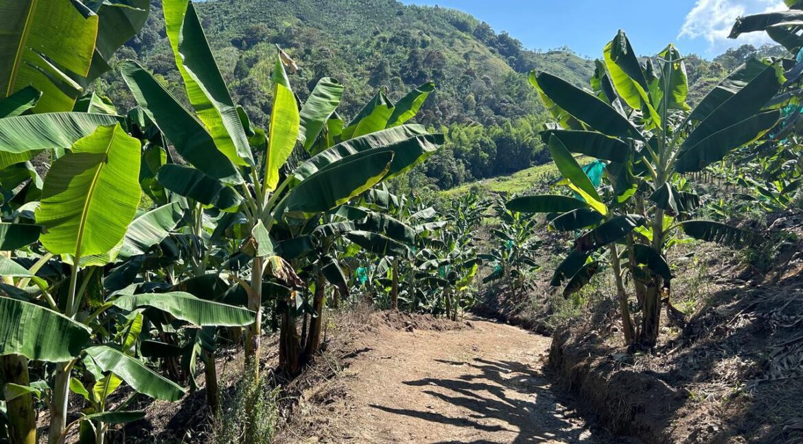 WhatsApp Image 2026-02-28 at 10.17.44 AM (3)