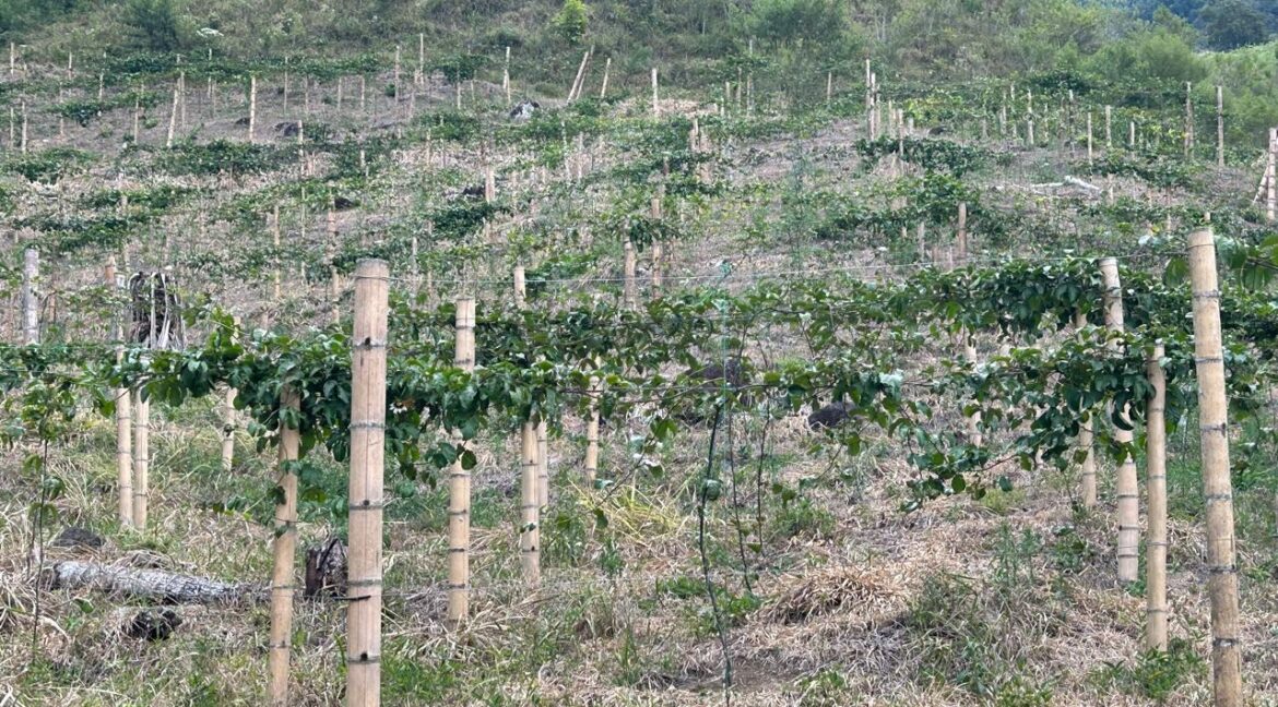 WhatsApp Image 2026-02-28 at 10.17.45 AM (1)