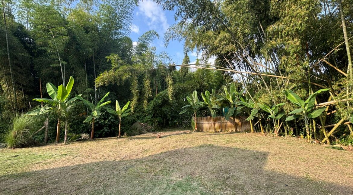 WhatsApp Image 2026-03-26 at 10.12.43 AM