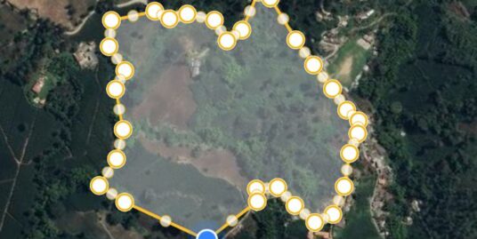 FV-0104 SE VENDE FINCA EN CHINCHINA CALDAS