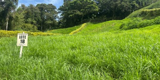 LV-0131 SE VENDE LOTE EN CHINCHINA CALDAS