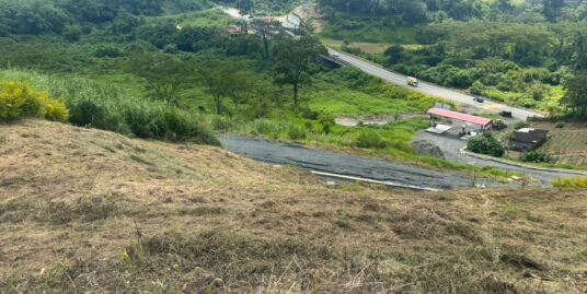 LV-0134 SE VENDE LOTE EN CHINCHINA CALDAS